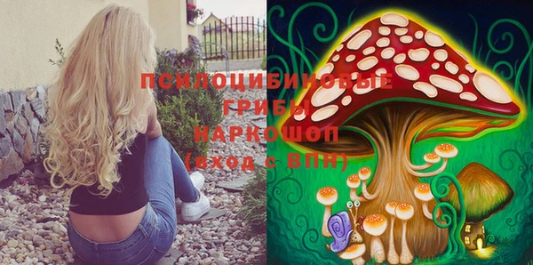 спиды Лагань