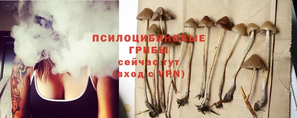 экстази Ладушкин