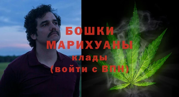 спиды Лагань