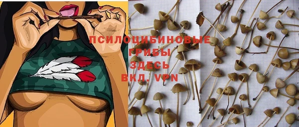 мяу мяу мука Кукмор