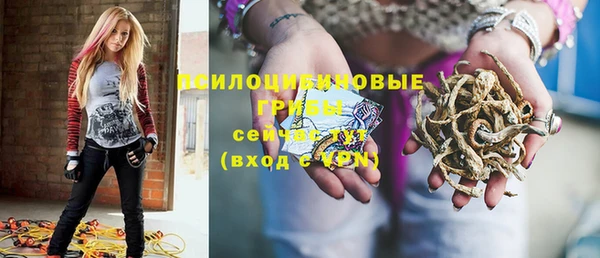 не бодяженный Великий Новгород