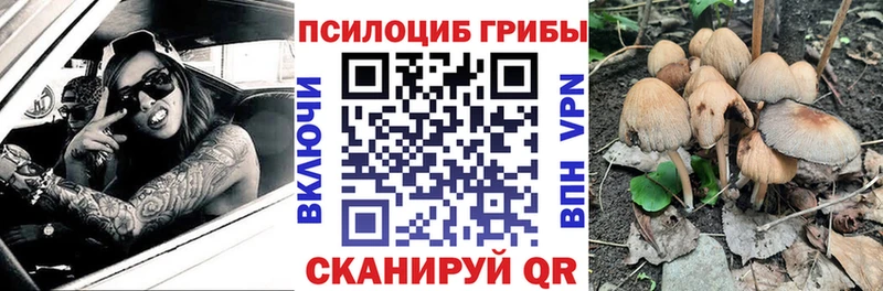 нарко площадка клад  Ленинградская  Галлюциногенные грибы мицелий  blacksprut зеркало 